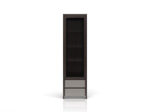 Vitrína BRW Kaspian REG1W2SL (L/P) (wenge + vysoký lesk šedý)