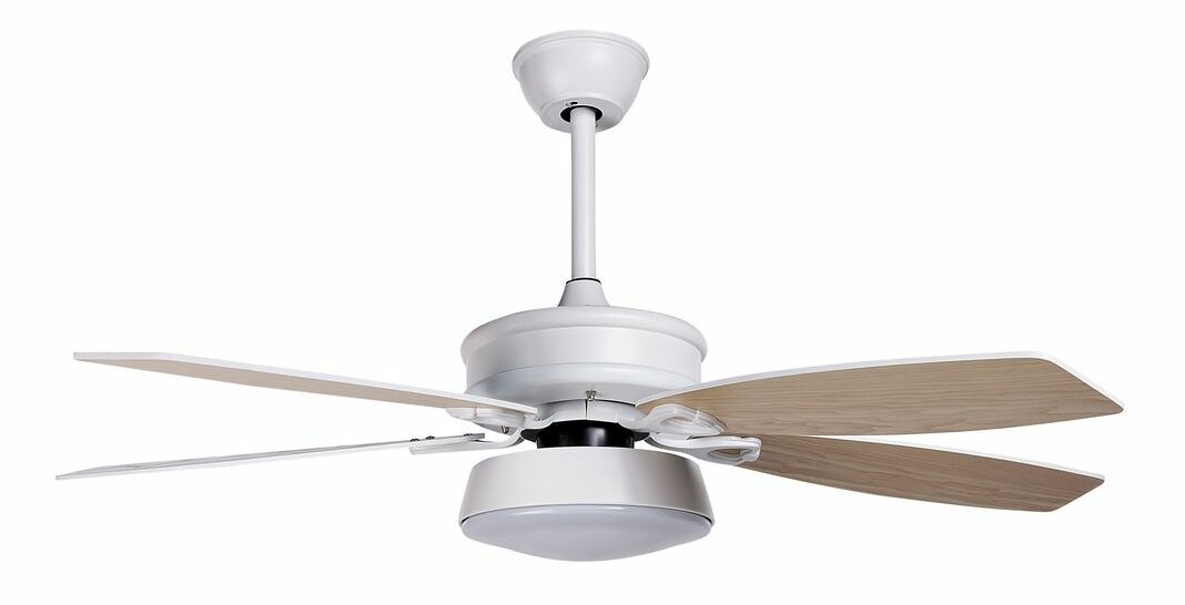 Stropní ventilátor se světlem Logza (bílá)