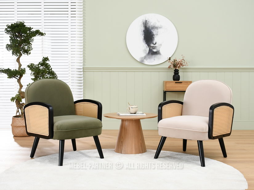 Křeslo Will (béžová + černá)