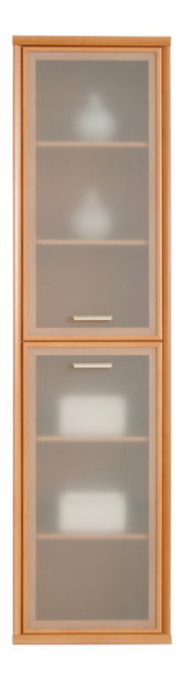 Vitrína BRW TOM WITRYNA WYSOKA 