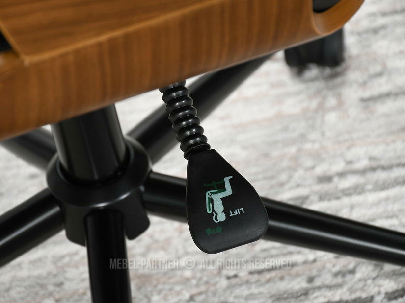 Kancelářské křeslo Oscarnote (černá)