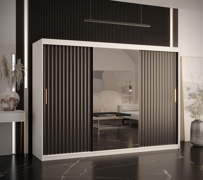Šatní skříň se zrcadlem 250 cm Riana Wa 2 250 (bílá + černá)