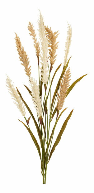 Dekorativní tráva Dnaveriaora (béžová + písková)