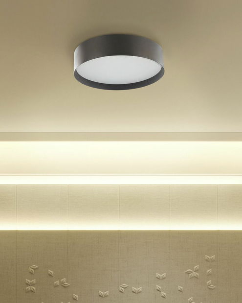 Stropní svítidlo Moeza (černá)