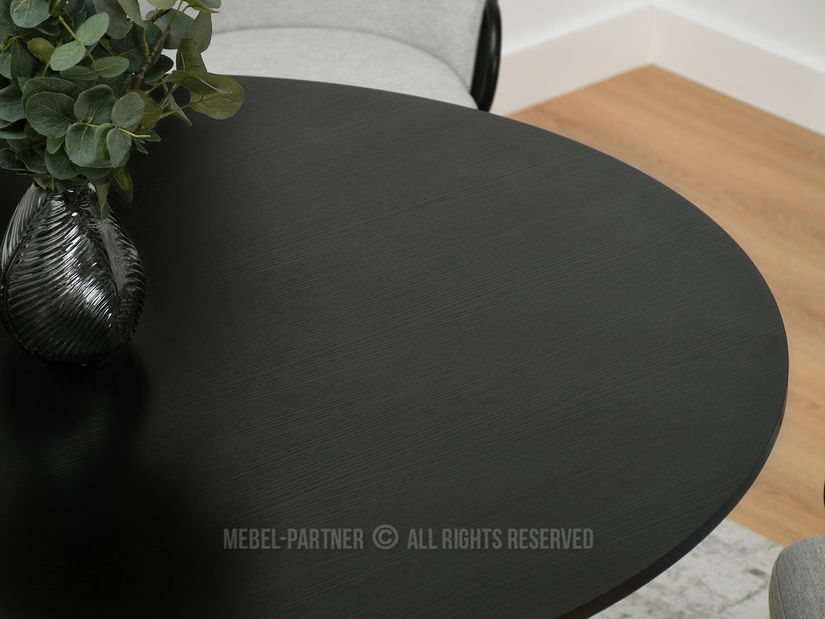 Jídelní stůl Bird (černé dřevo + černá)