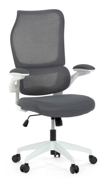 Kancelářské křeslo Inaugurados (šedá)