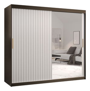 Šatní skříň se zrcadlem 200 cm Riana Wa 2 200 (černá + bílá matná)