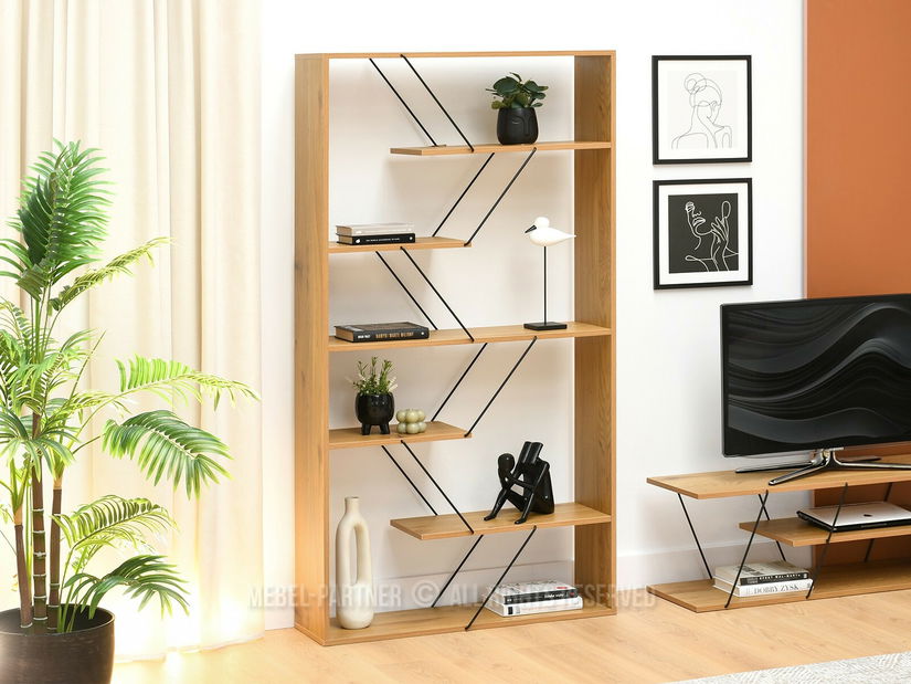 Obývací stěna Healey 2 (dub + černá)