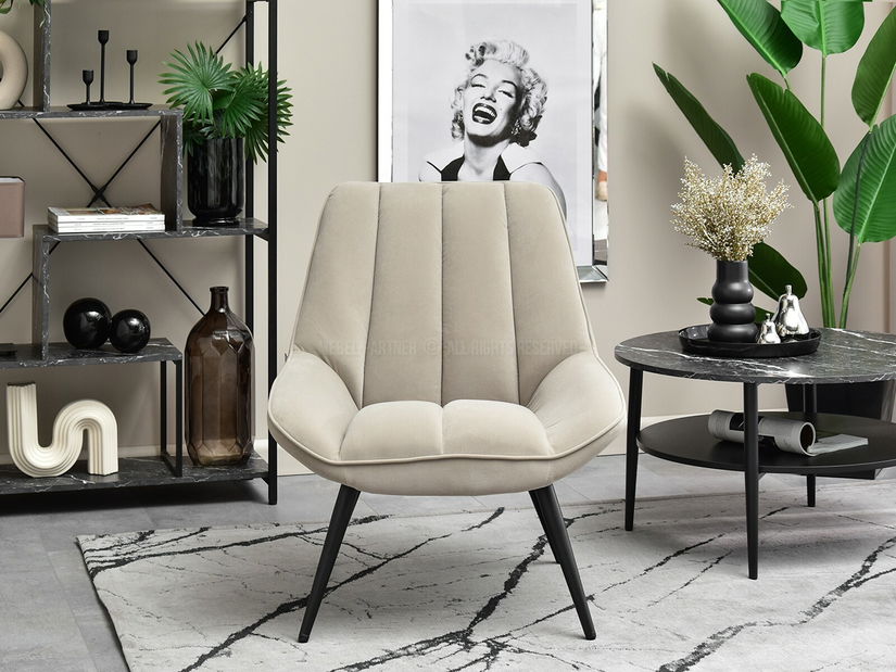 Křeslo Zolta (béžová + černá)